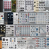 My nymphal Eurorack (copy)