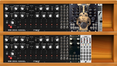 My baccate Eurorack