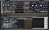 Make Noise Black and Gold Shared System (copied from CitizenKlaus) (copied from Thebluesmedley) (copy)