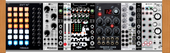 Nitty Workshop (copy)
