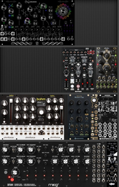 My ferny Eurorack