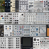 My nymphal Eurorack (copy) (copy)