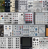 My nymphal Eurorack (copy) (copy) (copy)