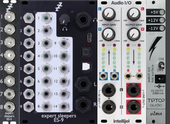 My piggie Eurorack