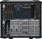 Moog Case