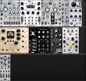 My coccal Eurorack