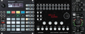 My dermal Eurorack