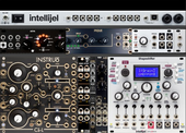 Lead showcase (Intellijel Palette) - option