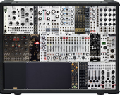 Livecase Poland Edition ACTUAL (copy)