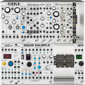 My aslant Eurorack
