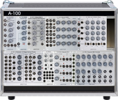 performance case