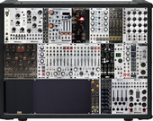 Livecase Poland Edition ACTUAL Final (copy)