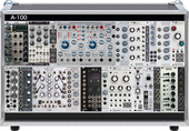 My immune Eurorack