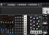 301 intellijel case