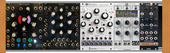 My cichlid Eurorack