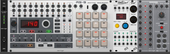 Behringer