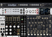 9904 - Eight oh Eight / Nine oh Nine - Intellijel 62hp 4u