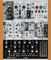 Moog solution