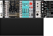 My placoid Eurorack