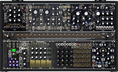 Black and Gold Shared System Plus