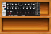My hivelike Eurorack