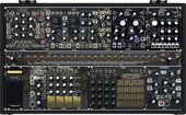 Make Noise Black &amp; Gold Shared System