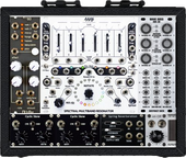 My skinny bitch effects Eurorack