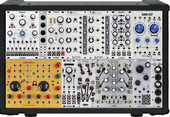 Trogotronic Case