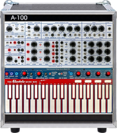 My sarcastic Buchla