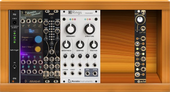 Moog case