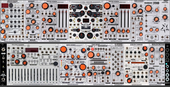 Harvestman