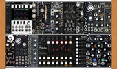 My new cheetah Drum Eurorack