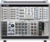 Trogotronic Case (copy)