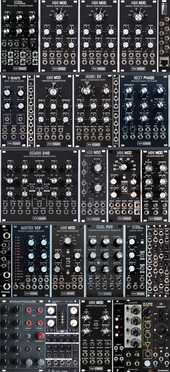 A1 Moog