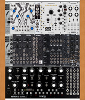 Moog Case