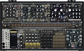 MAKE NOISE BLACK &amp; GOLD SHARED SYSTEM