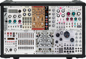My fledgling Eurorack