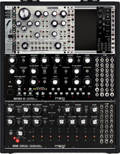 the focqs - moog pitts