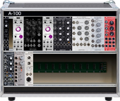 My histoid Eurorack