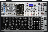 My fungoid Eurorack