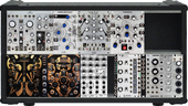 My veiny Eurorack