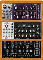 Moog Mini 3TIER