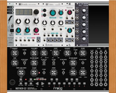moog tier