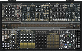 Black &amp; Gold Shared by ZT