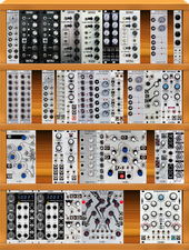 FcUK 84