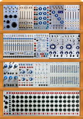 My petalled Buchla