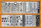 My squamate Eurorack