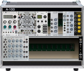 My lifelike Eurorack