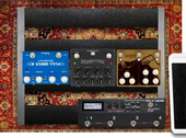 My duckbill Pedalboard