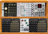 My bizarre Eurorack